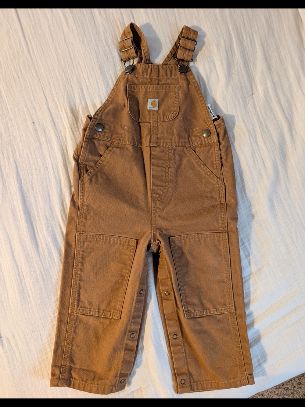 Carhartt 24M Bib Overalls